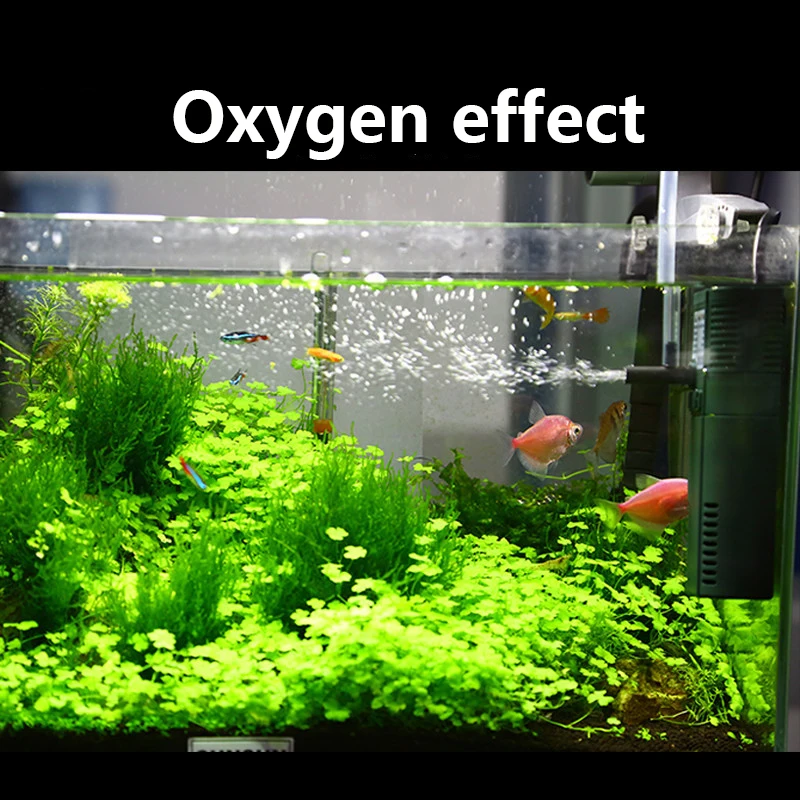 SUNSUN Nano Mini Xây Dựng Nội  - đánh giá và giá Marine Aquarium Reactors