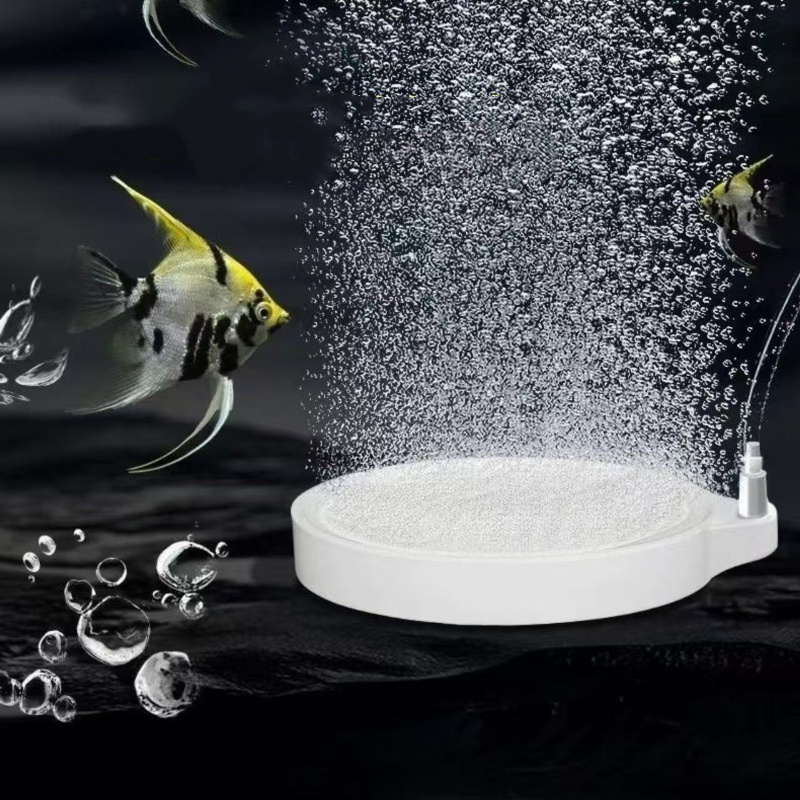 Nano Disc Air Stone Oxygen Aer - đánh giá và giá Marine Aquarium Equipment